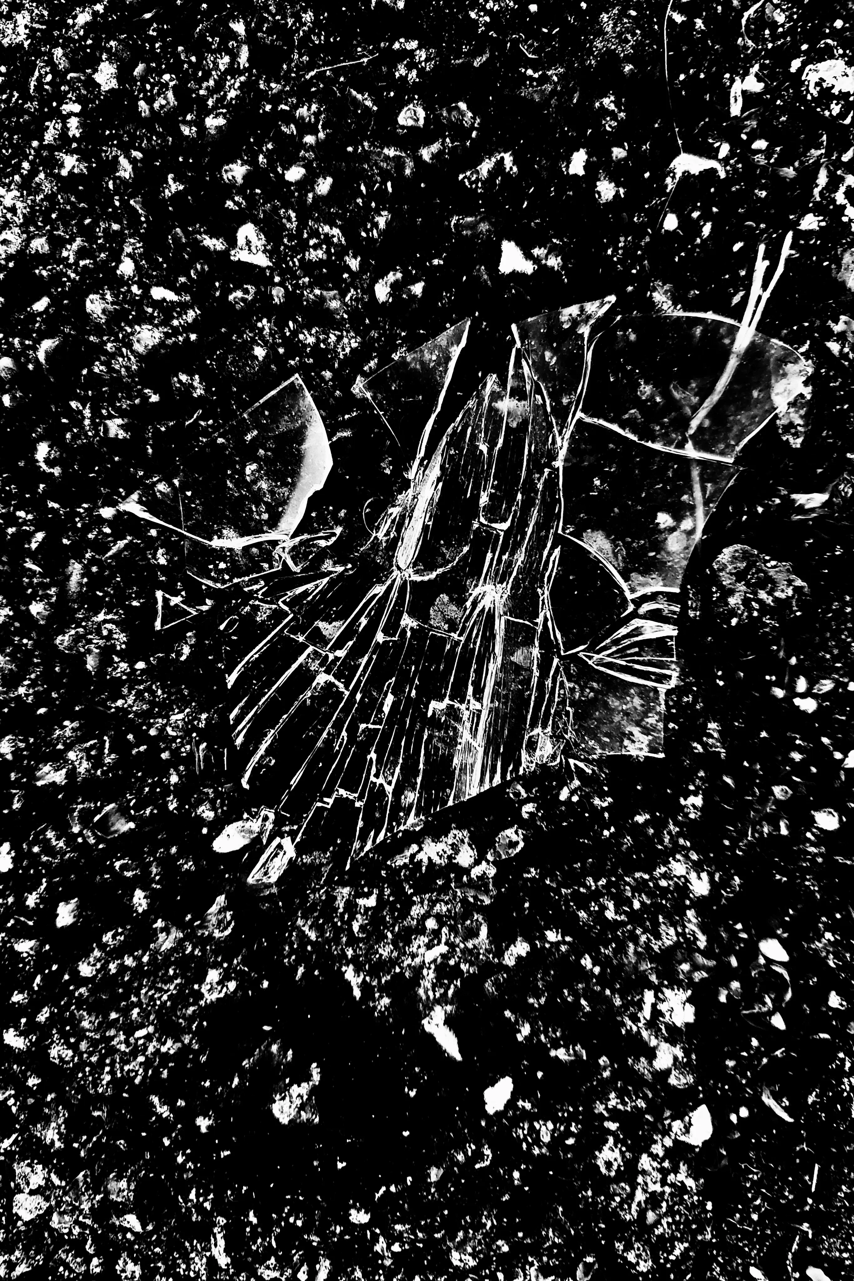 INTERPOSTO – photobook fine art di Matteo Groppi, vetro corpo barriera, 44 pagine, Piacenza 2025